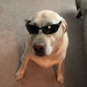 Meet your Posher, Sonya